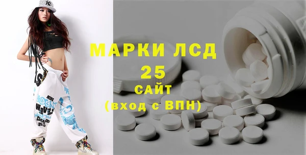 спайс Бородино