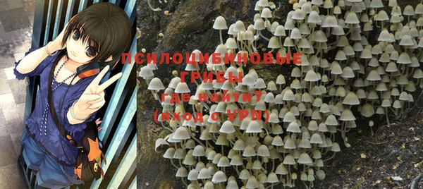 спайс Бородино